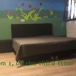 Nancy In Holland Met Eigen Badkamer , Jacuzzi Niet Inclusief , Independent Bathroom Jacuzzi Not Included Frühstückspension 3*