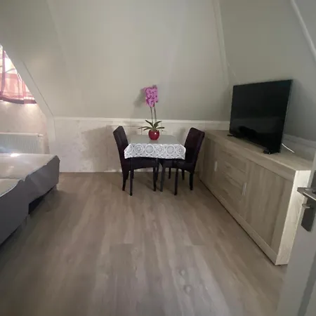 Nancy In Holland Met Eigen Badkamer , Jacuzzi Niet Inclusief , Independent Bathroom Jacuzzi Not Included
