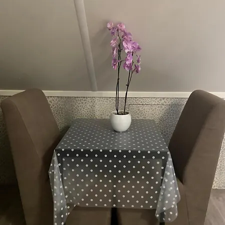 Nancy In Holland Met Eigen Badkamer , Jacuzzi Niet Inclusief , Independent Bathroom Jacuzzi Not Included Bed and breakfast