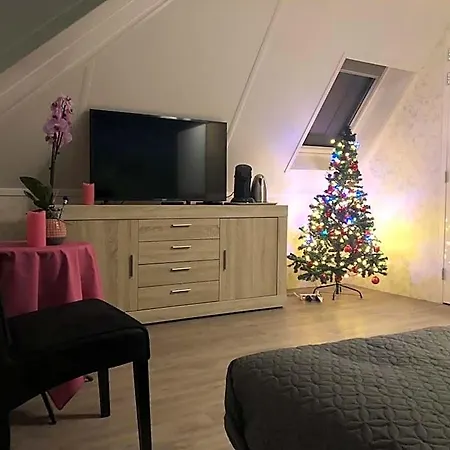Bed & Breakfast B&B Nancy In Holland Met Eigen Badkamer , Jacuzzi Niet Inclusief , Independent Bathroom Jacuzzi Not Included 3*