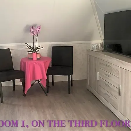 B&B Nancy In Holland Met Eigen Badkamer , Jacuzzi Niet Inclusief , Independent Bathroom Jacuzzi Not Included 3* Aalten