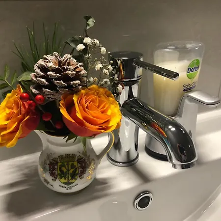 Nancy In Holland Met Eigen Badkamer , Jacuzzi Niet Inclusief , Independent Bathroom Jacuzzi Not Included 3* 阿尔滕