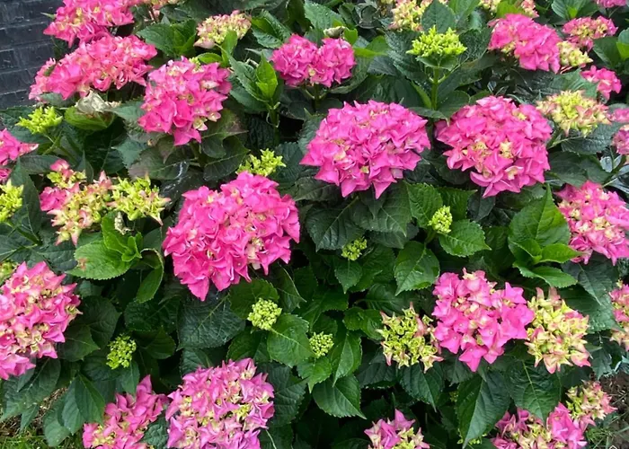 Nancy In Holland Met Eigen Badkamer , Independent Bathroom 3*