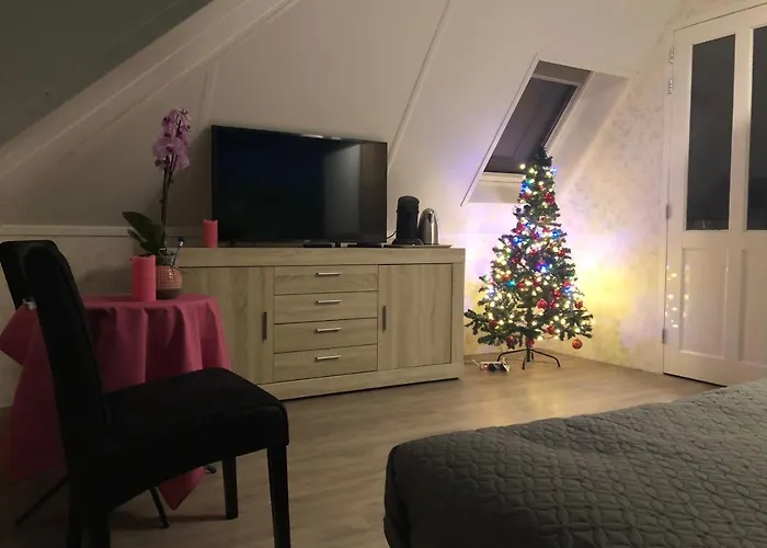 Nancy In Holland Met Eigen Badkamer , Jacuzzi Niet Inclusief , Independent Bathroom Jacuzzi Not Included Oda ve Kahvaltı Aalten